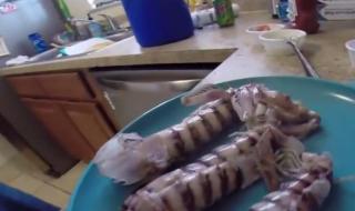 皮皮虾的做法及清洗 皮皮虾怎么处理